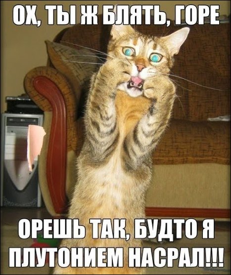 Комиксы и карикатуры