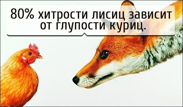 Комиксы и карикатуры