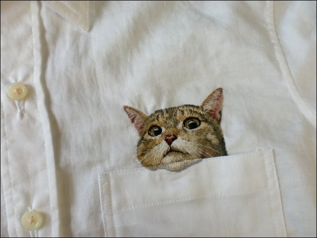 Коты на рубашке