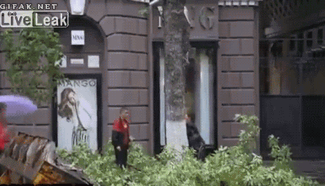 Прикольные гифки