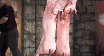 Прикольные гифки