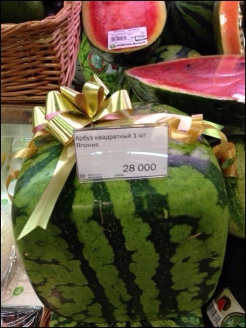 Прикольные надписи в магазинах