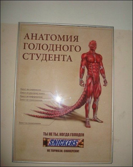 Прикольные надписи и объявления