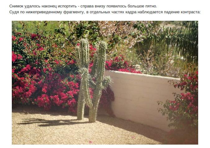 О чистоте объектива