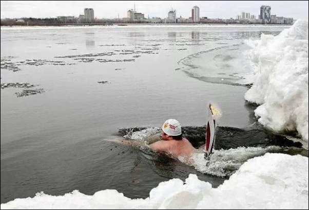 Прикольные картинки