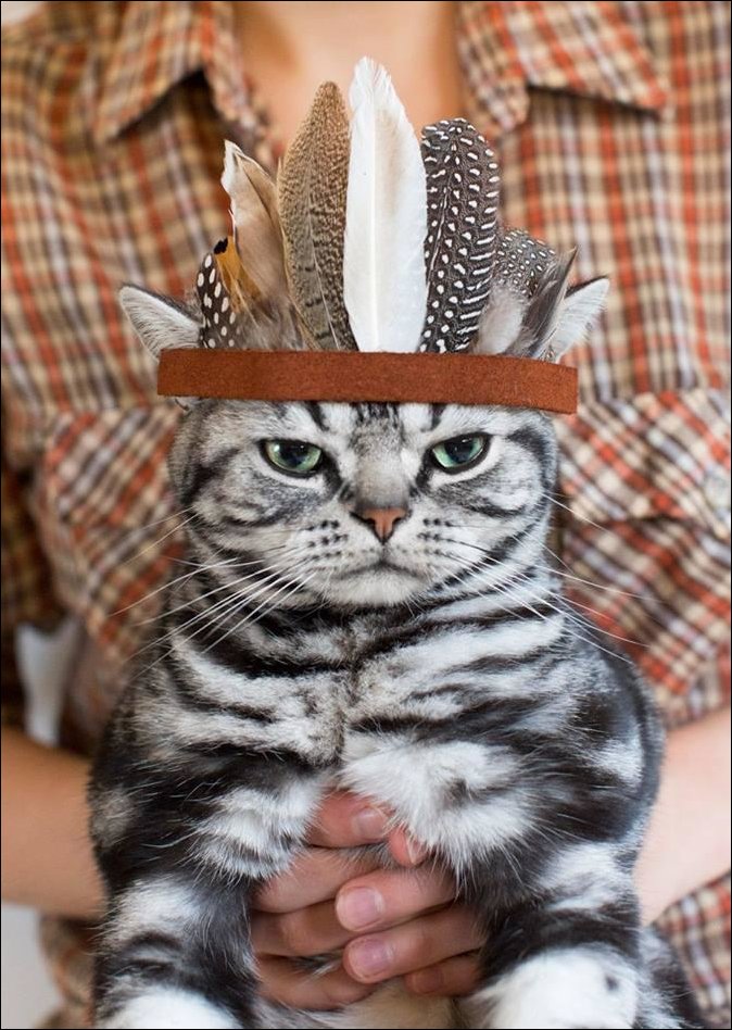 Прикольные картинки