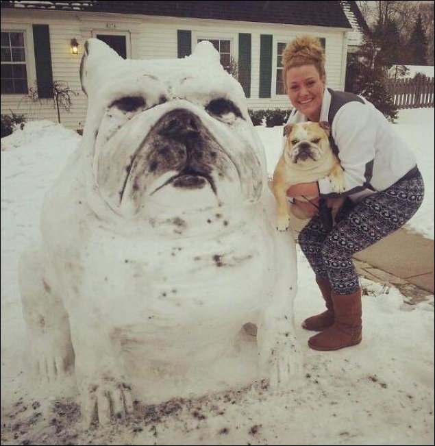 Прикольные картинки