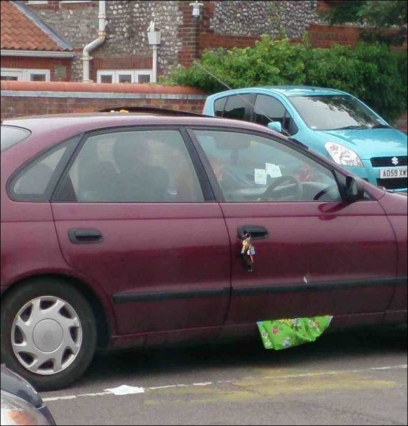 Прикольные картинки