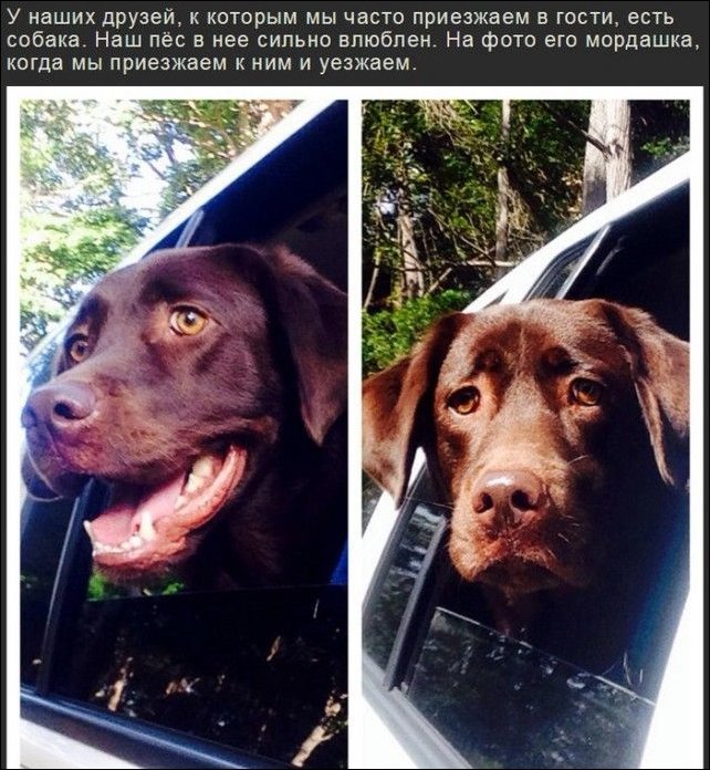 Прикольные картинки