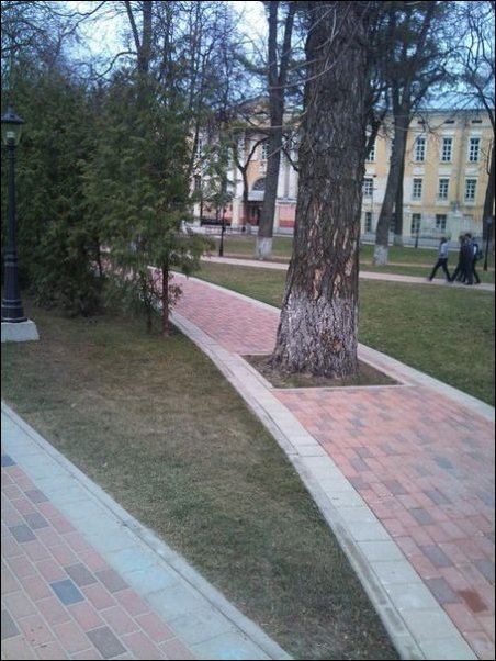 Прикольные картинки