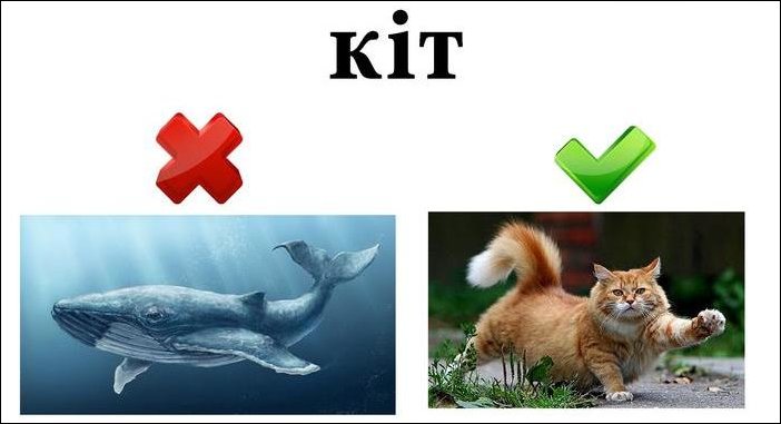 Украинский язык в картинках