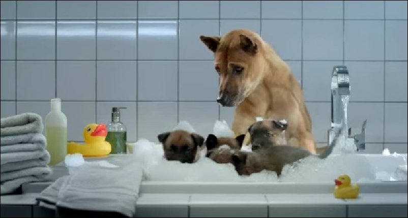 Отец-молодец