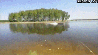 Прикольные гифки