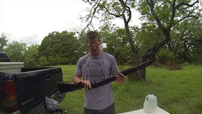 Прикольные гифки