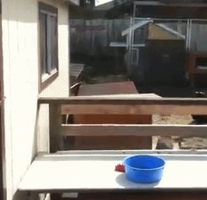 Прикольные гифки