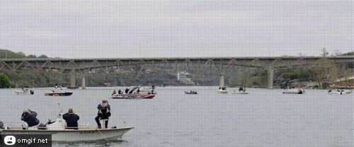 Прикольные гифки