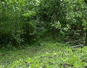 Прикольные гифки