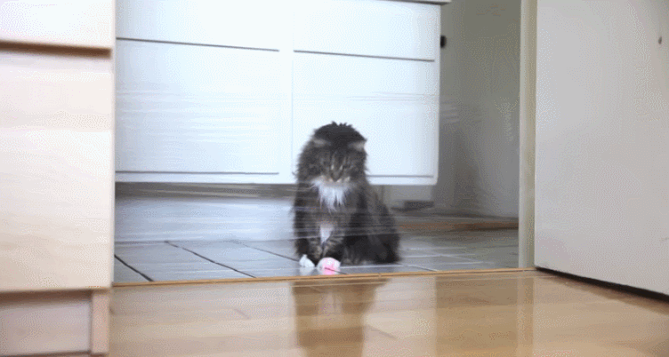 Прикольные гифки