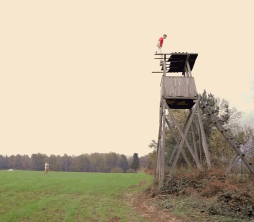 Прикольные гифки