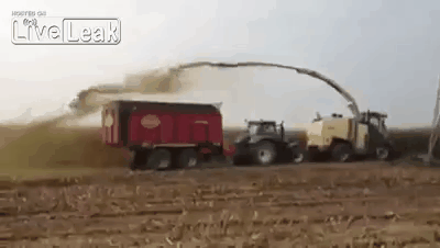 Прикольные гифки