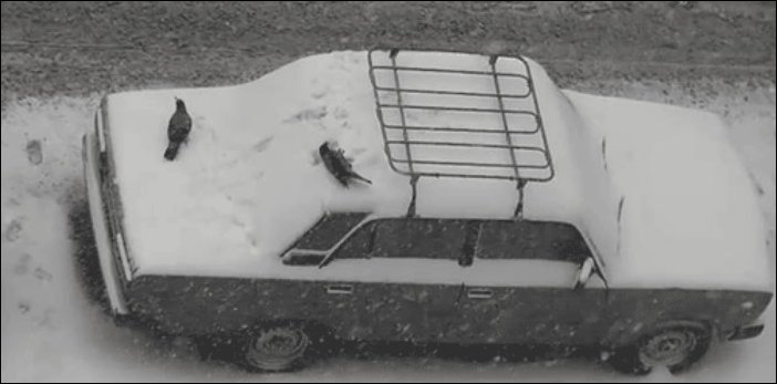 Прикольные гифки