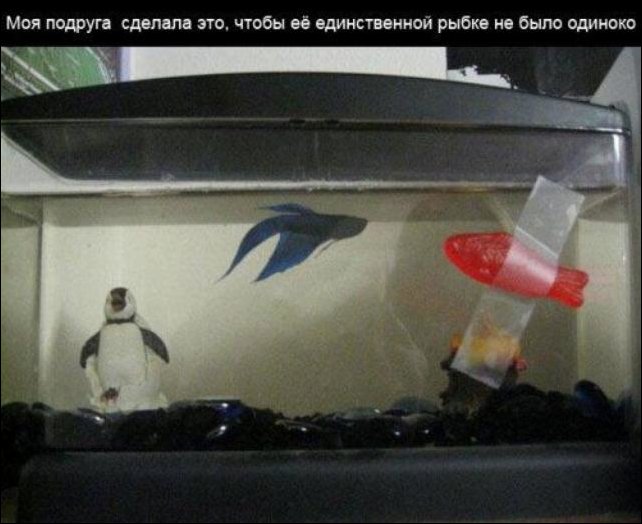 Решение проблемы