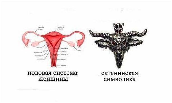 смешные карикатуры