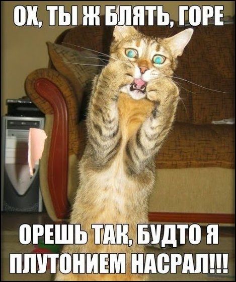 смешные карикатуры