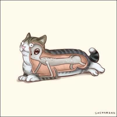 смешные карикатуры