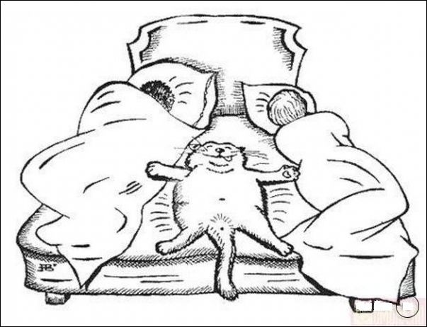 смешные карикатуры