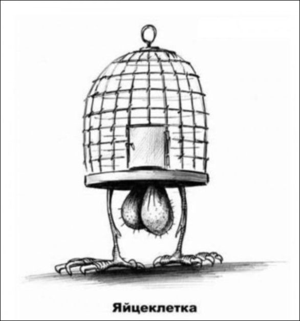 смешные карикатуры