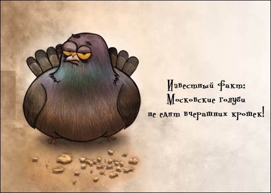 смешные карикатуры