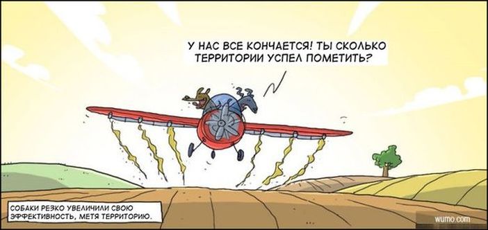 Комиксы и карикатуры