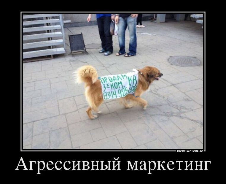 Демотиваторы