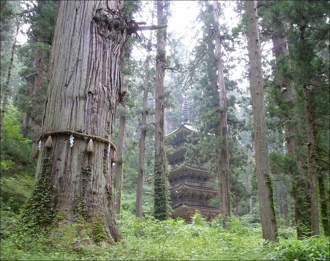 Фото-приколы