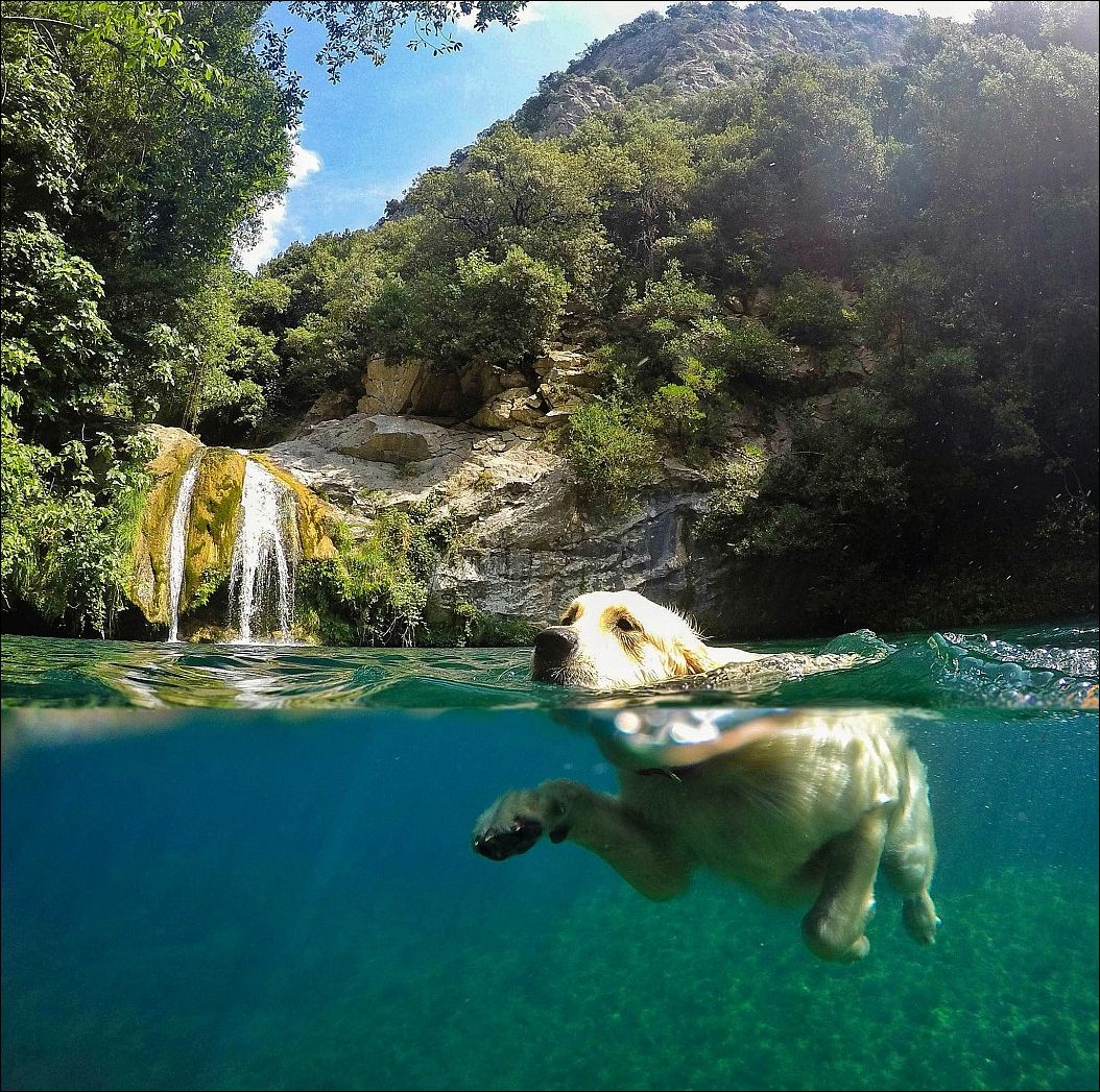 Фото-приколы