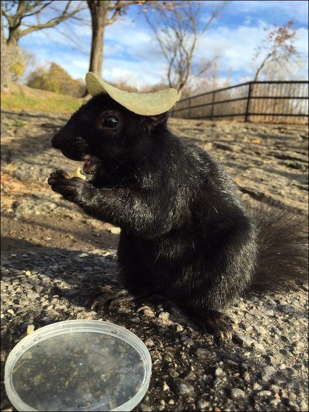 Фото-приколы