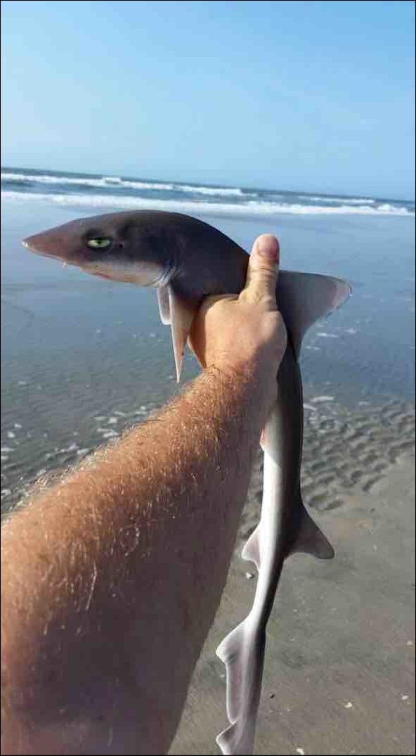 Фото-приколы