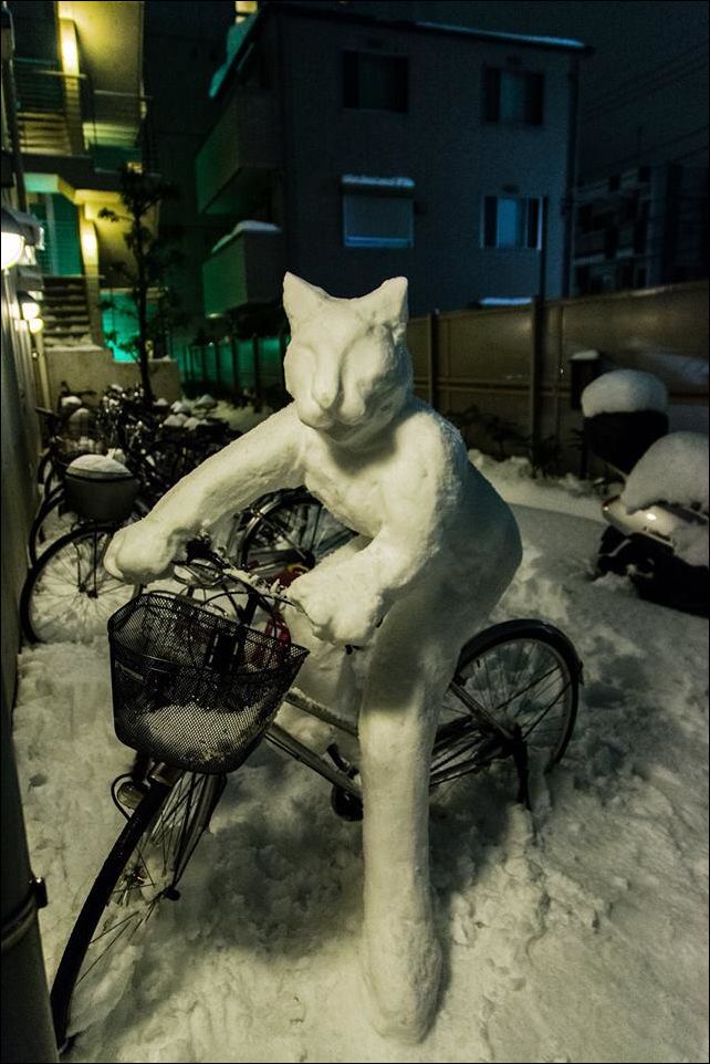 Фото-приколы