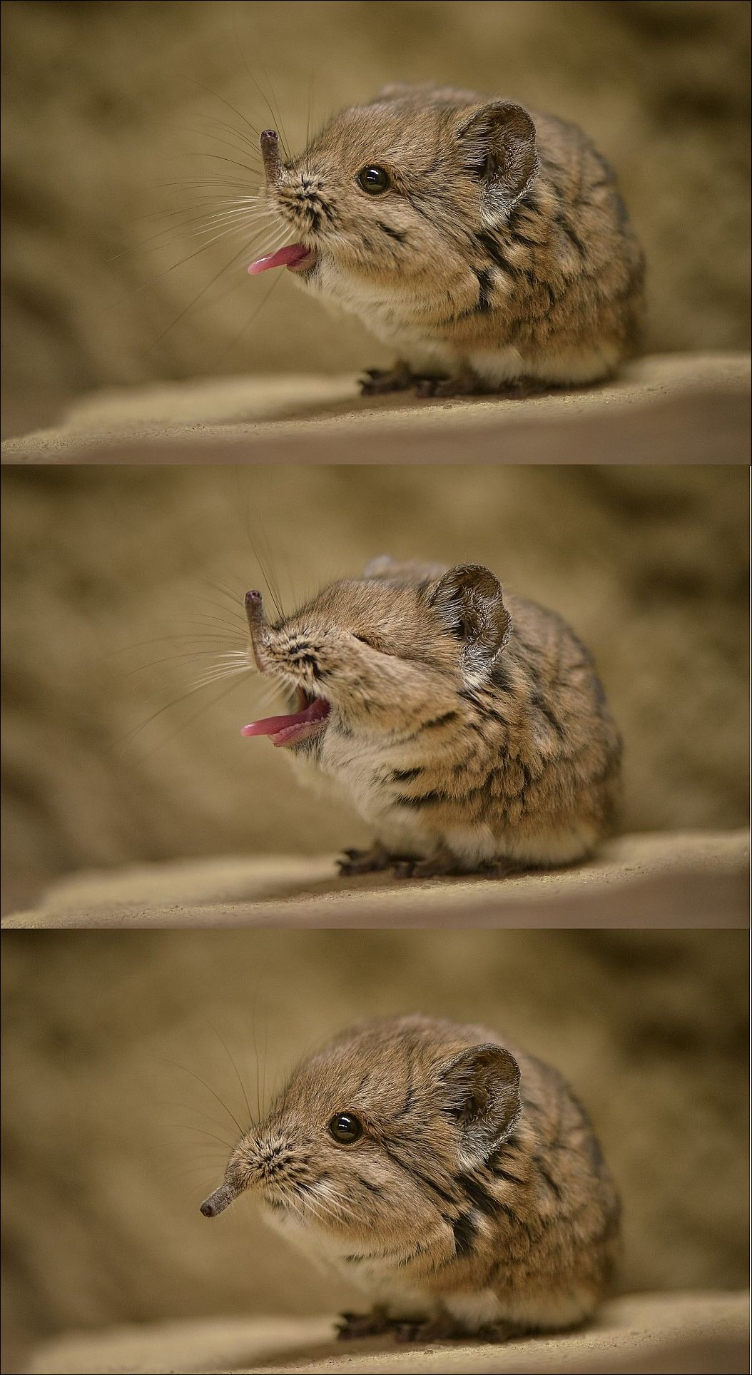 Фото-приколы