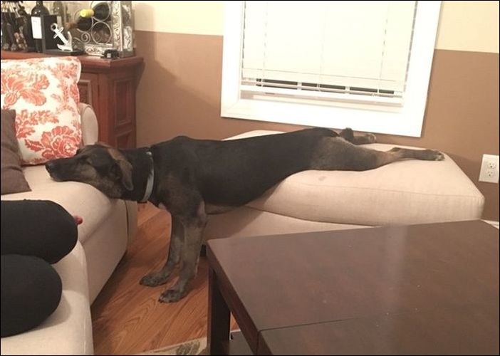 Фото-приколы