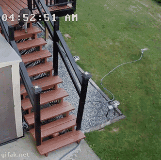 Прикольные гифки