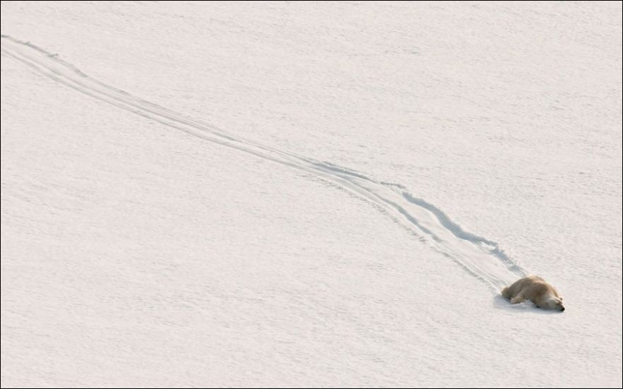 В нужный момент