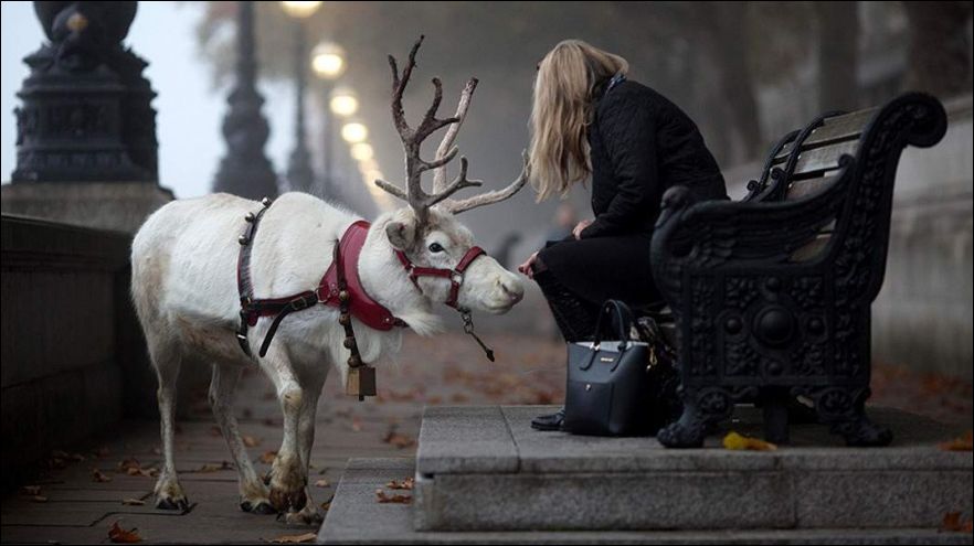 В нужный момент