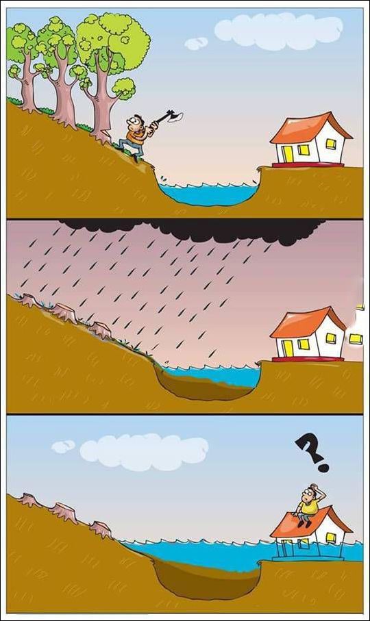 Подборка смешных комиксов и карикатур за неделю.