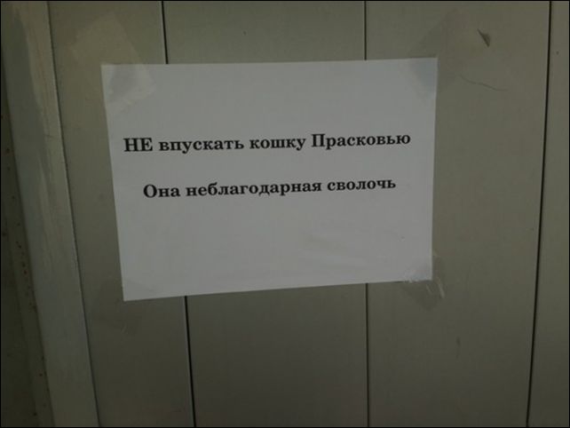 Смешные надписи и объявления