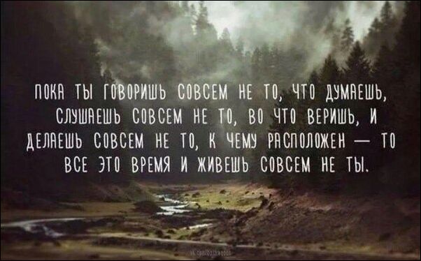 Смешные надписи и объявления