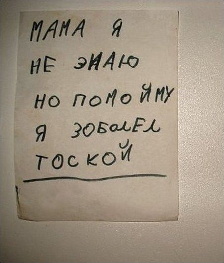 Смешные надписи и объявления