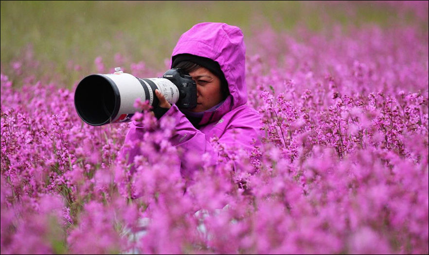 Фотограф дикой природы за работой