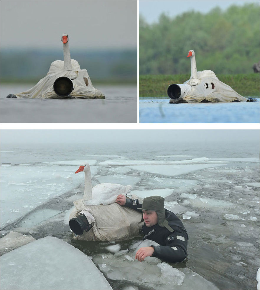 Фотограф дикой природы за работой